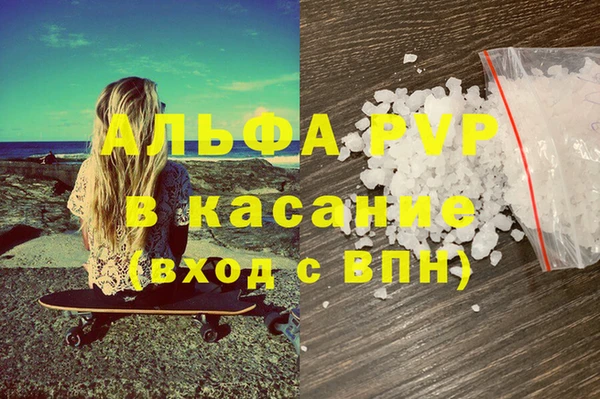 PSILOCYBIN Майский