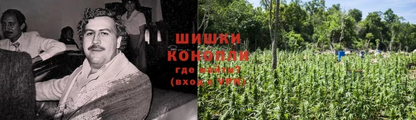PSILOCYBIN Майский