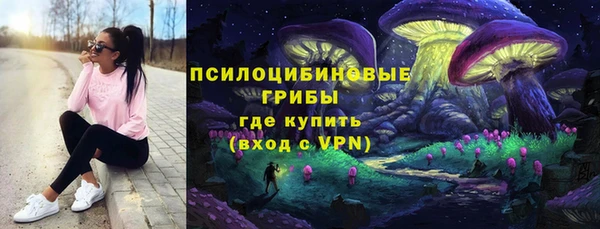 apvp Магадан