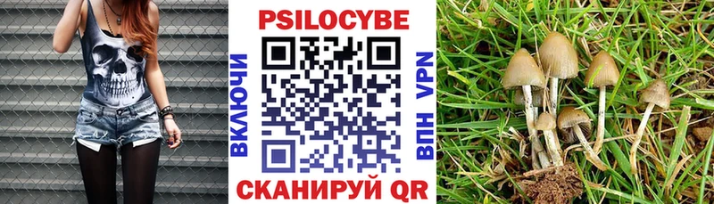 Купить закладки  Мариинский Посад  Псилоцибиновые грибы прущие грибы 